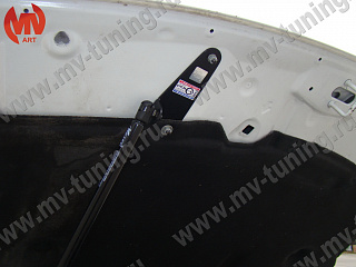 Упор капота для Honda Accord 8 VIII / Acura TSX (CU/CW) (2008-2013)