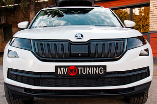 Зимний экран без парктроника для Skoda Kodiaq (2016-2021) нижний (текстурный пластик) Азиатская версия автомобиля.