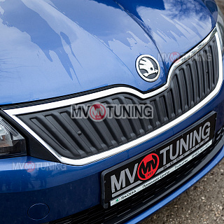 Зимний экран (верхний) Skoda Rapid (2012-2020), текстурный пластик