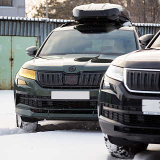 Зимний экран Skoda Kodiaq (2016-2021) верхний (текстурный пластик) стандартное крепление