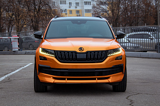 Канарды (накладки над птф) для Skoda Kodiaq (2016-2021) под покраску